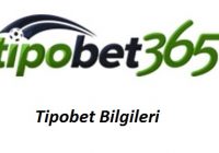 Tipobet Bilgileri