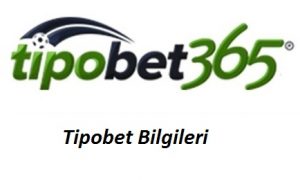 Tipobet Bilgileri