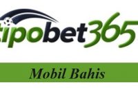 Tipobet Mobil Bahis