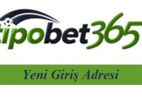 Tipobet0975 Yeni Giriş! Tipobet Giriş
